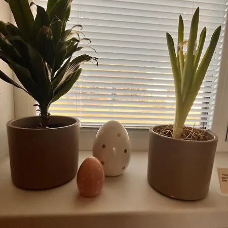 Rezidencia Pod Zamkom Luna